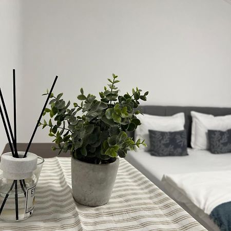 The N Apartment Cluj-Napoca Eksteriør bilde