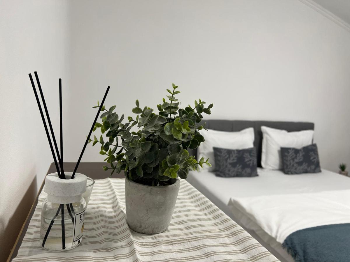 The N Apartment Cluj-Napoca Eksteriør bilde