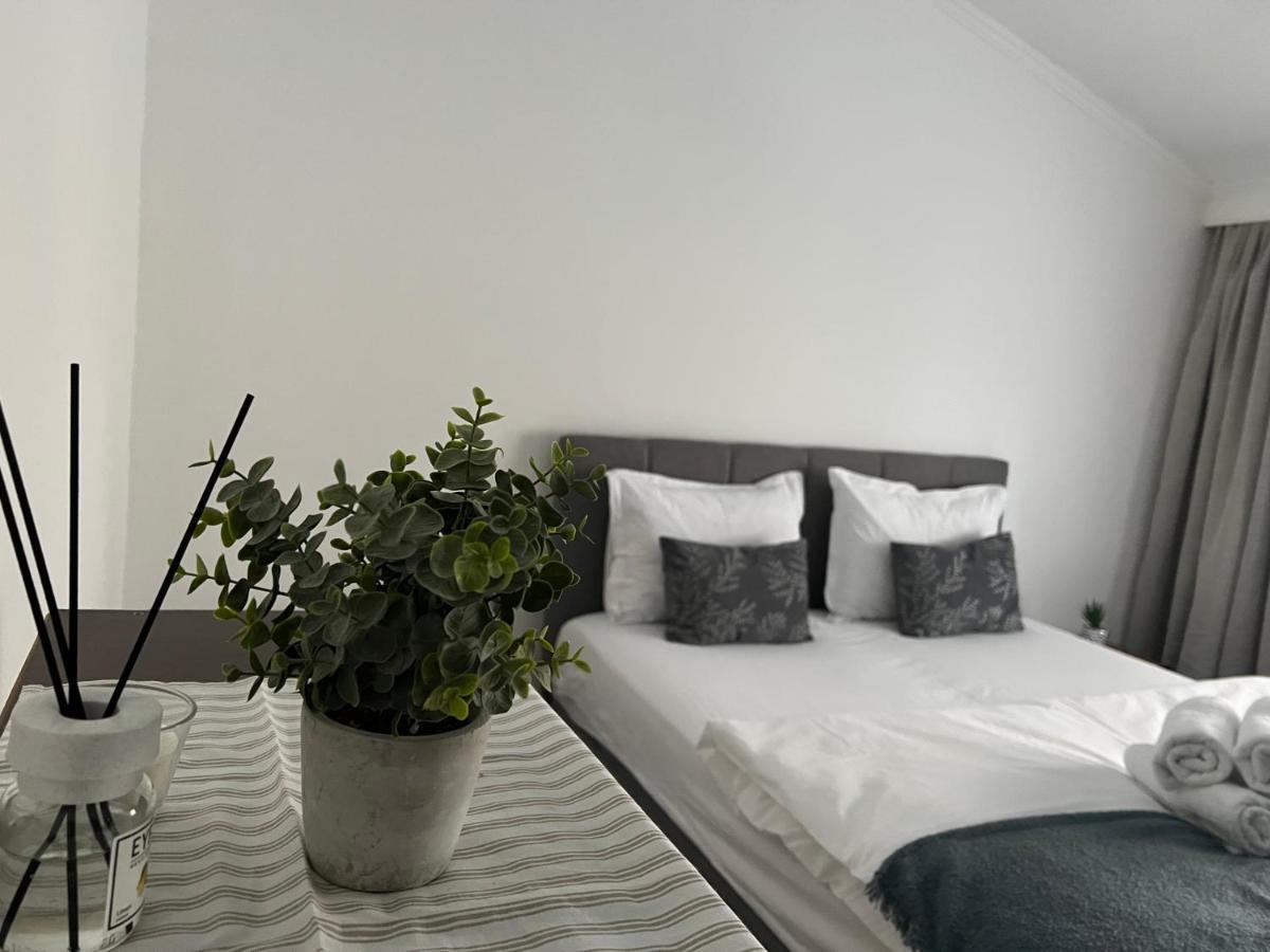 The N Apartment Cluj-Napoca Eksteriør bilde